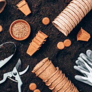 Materiales para Taller de Trasplante